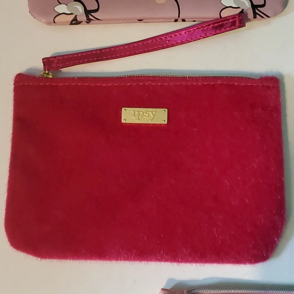 Ipsy set 5 cosmetic bags